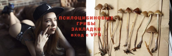 ПСИЛОЦИБИНОВЫЕ ГРИБЫ Абаза