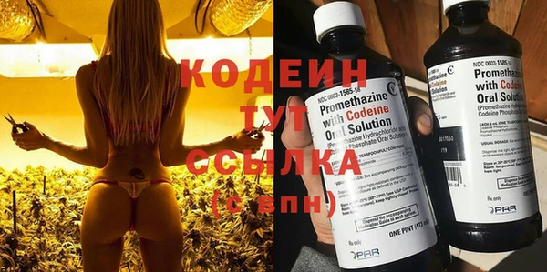 прущие грибы Абинск