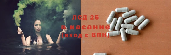 ПСИЛОЦИБИНОВЫЕ ГРИБЫ Абаза
