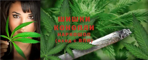 ПСИЛОЦИБИНОВЫЕ ГРИБЫ Абаза