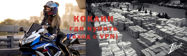 прущие грибы Абинск