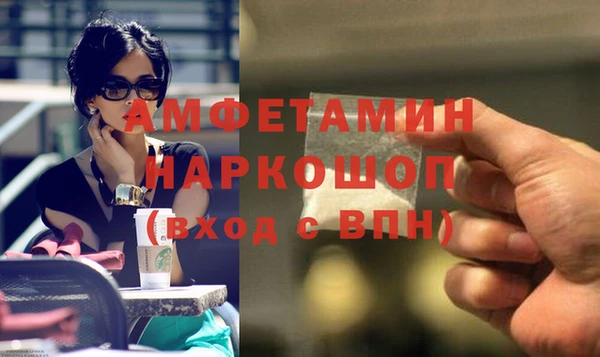 прущие грибы Абинск